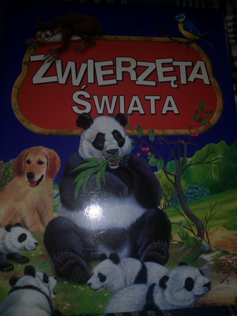 Książka dla dzieci "Zwierzęta świata"