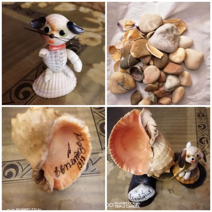 Ракушка. Камушки. Дары морей.