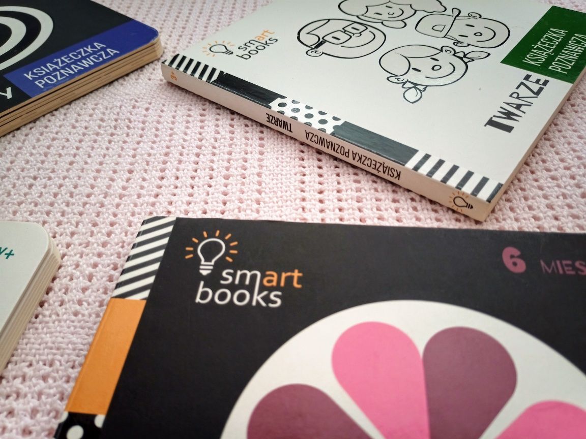 Zestaw książeczek dla maluszka Smart Books