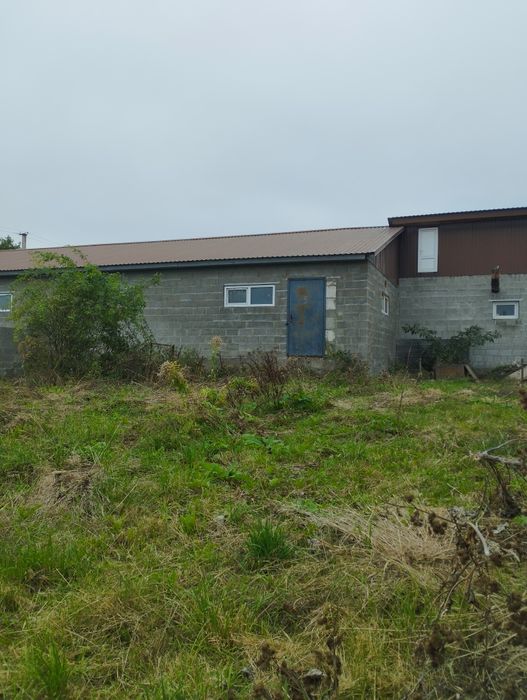 Продам будинок в селі Дермань 3.5га