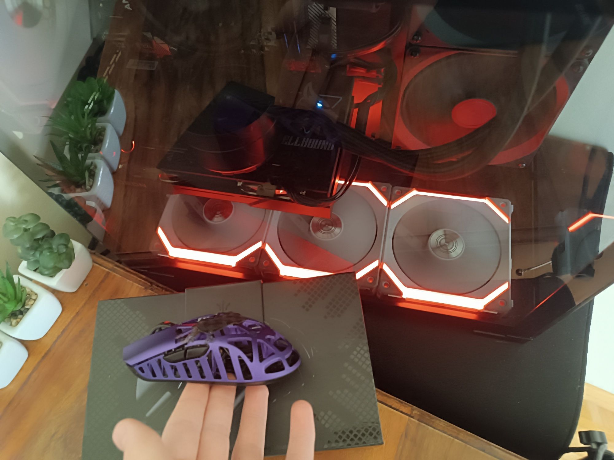 Wl mouse beast x 8k