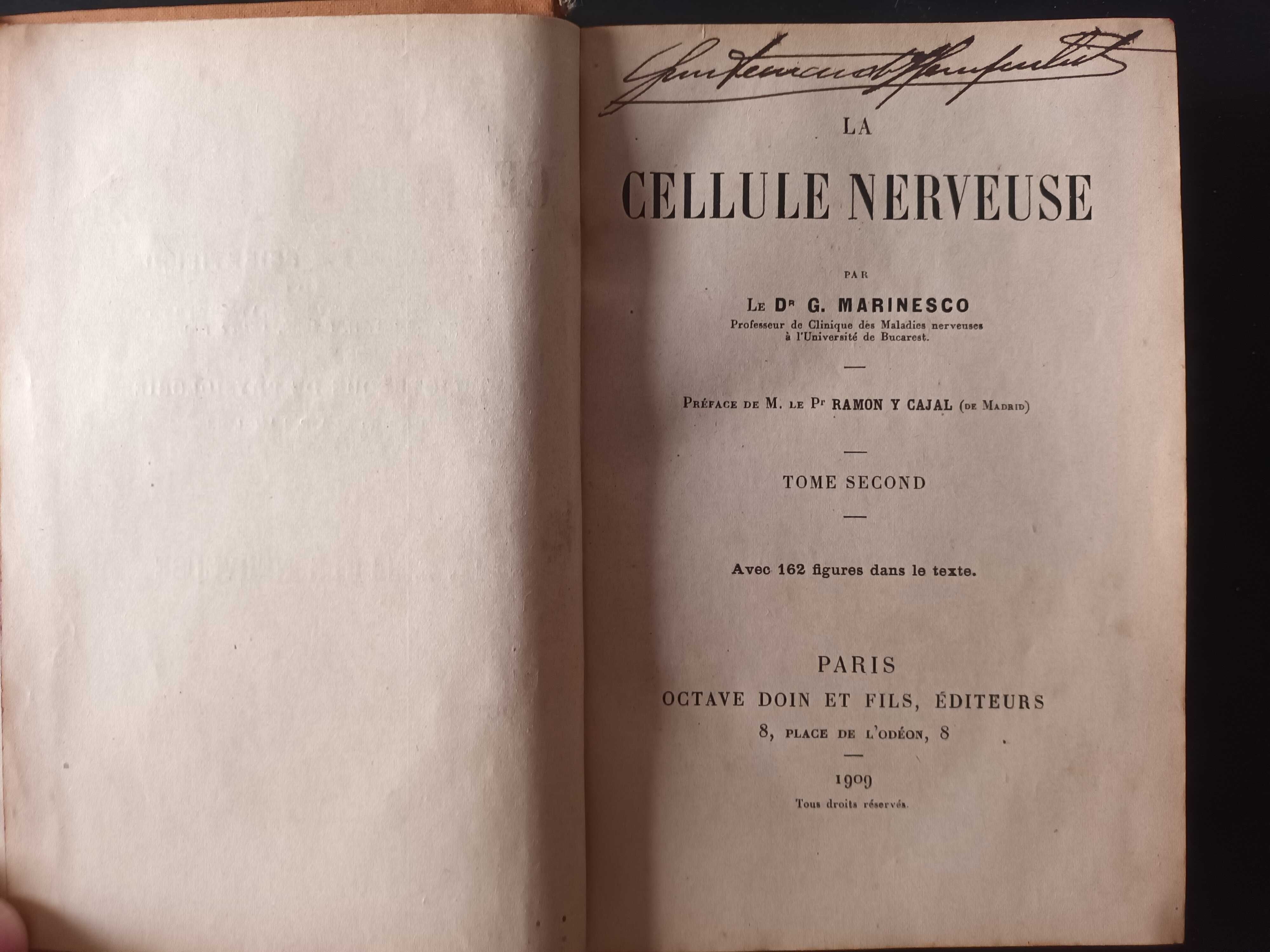 Encyclopédie Scientifique - La Cellule Nerveuse