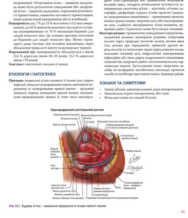 Акушерство та гінекологія за Неттером. 4-те видання. 2025 Гинекология