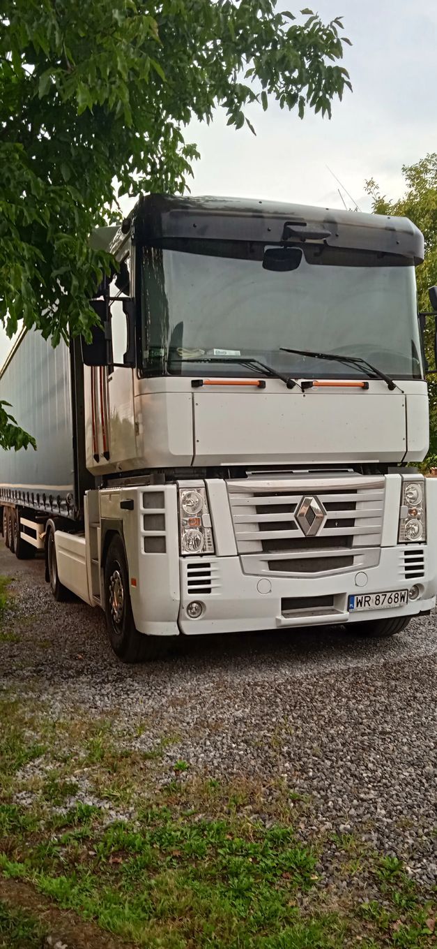 Renault Magnum  Magnum 460 Dxi
