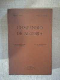 Compêndio de Álgebra - J. Sebastião Silva é J. Silva Paulo