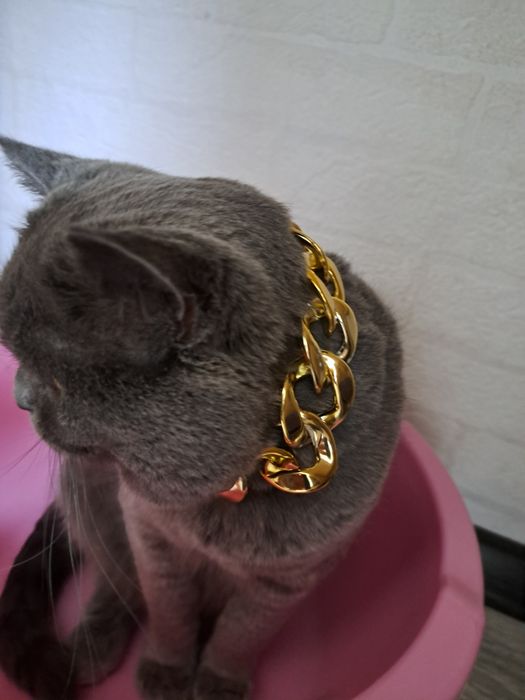 Цепь, ланцюжок широкий для тварин