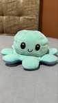 Peluche polvo reversivel