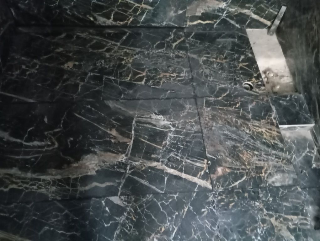 Obras e manutenção e limpeza de telhados