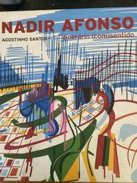 Nadir Afonso Itinerário (com)sentido