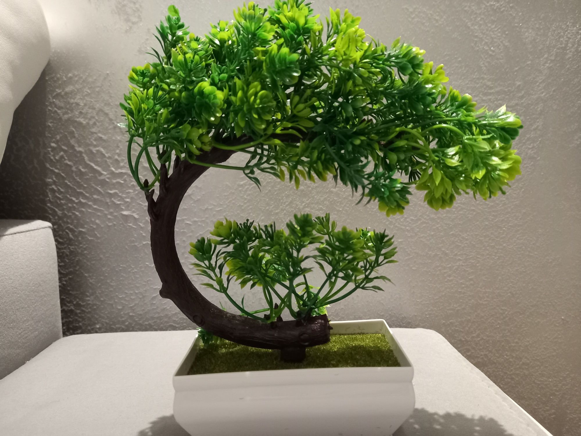 Piękne ozdobne  drzewko Bonsai