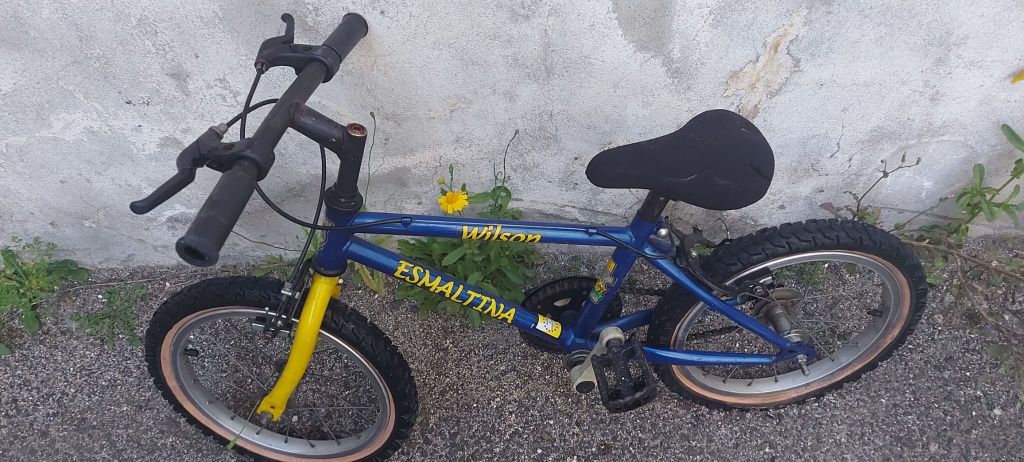 Bicicleta Criança (4 a 8 anos)