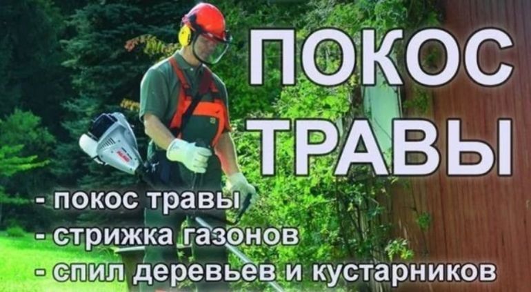 Дрова твердых пород не дорого акация, ясень, дуб.Спилю, обрежу деревья