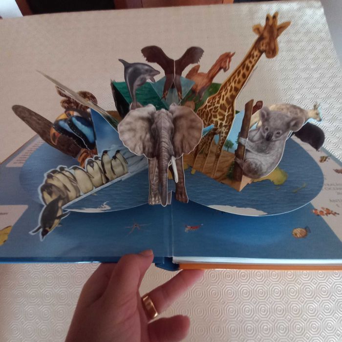 Conjunto 2 livros sobre animais