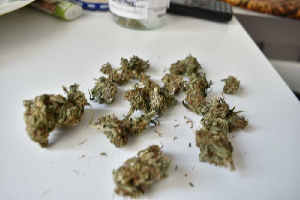 ZKITTLEZ CBG,CBL,CBC  < 22.5%  susz roślinny kopiący 1g + 1g gratis