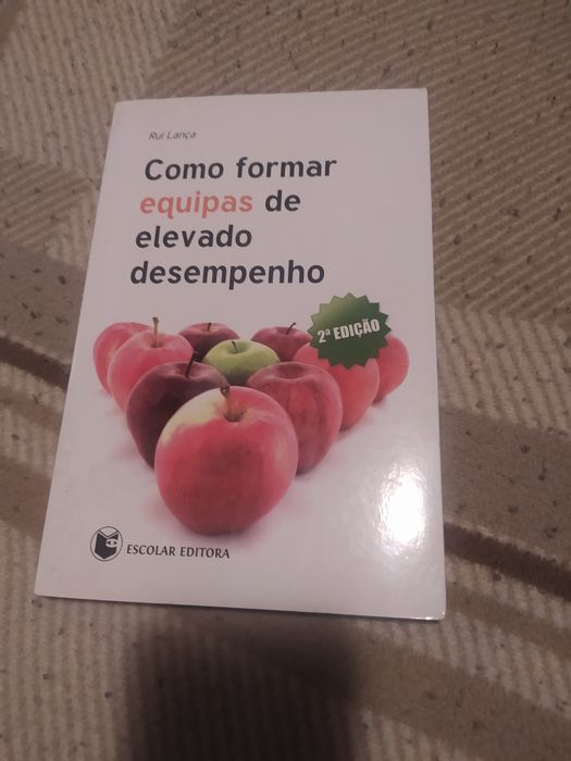 Livro como formar equipas de elevado desempenho -portes correio gráti