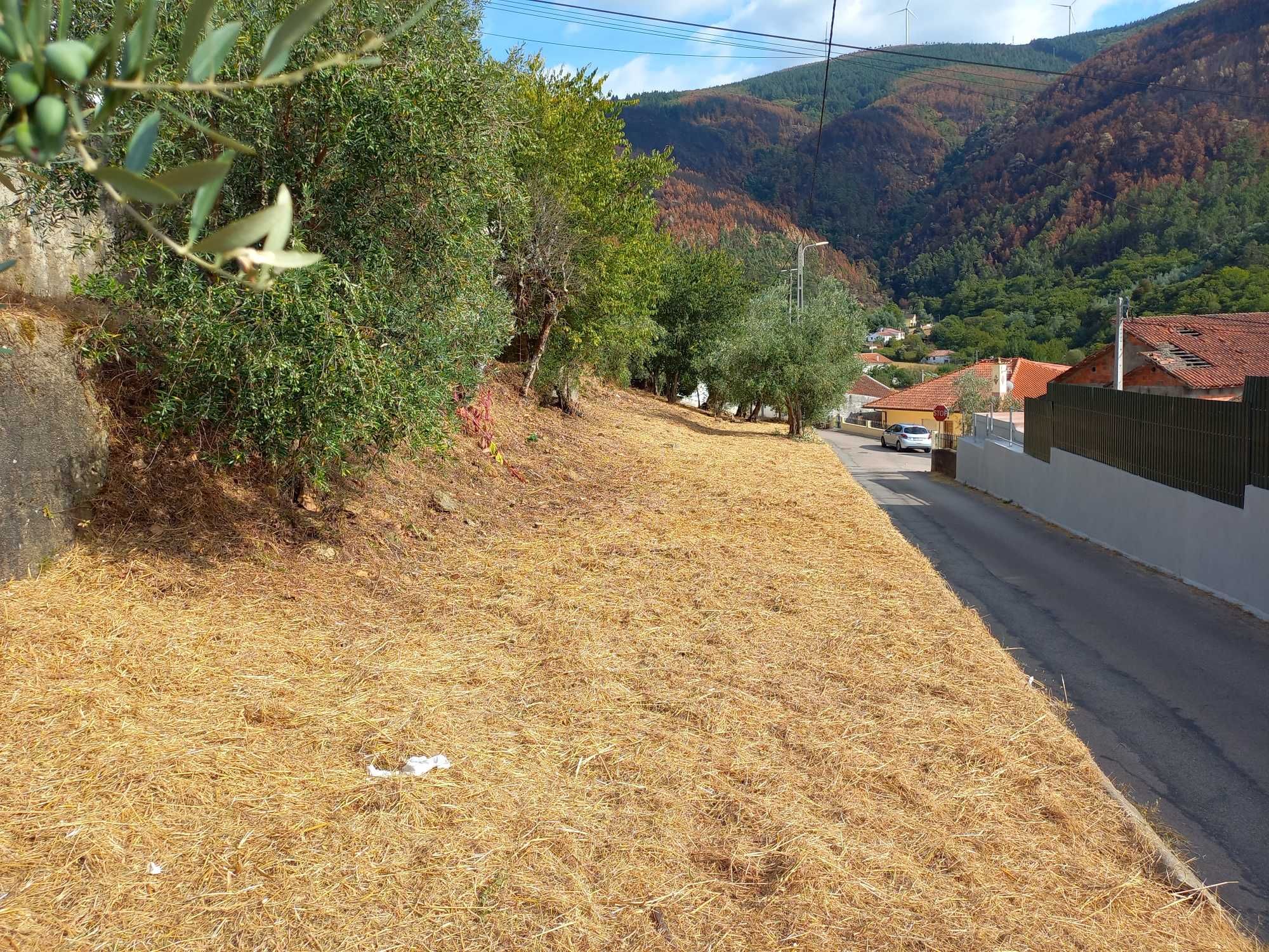 TERRENO Urbano com viabilidade para construção