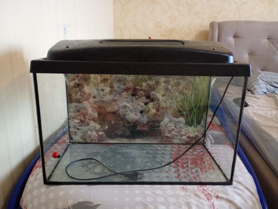 Акваріум 70 літрів