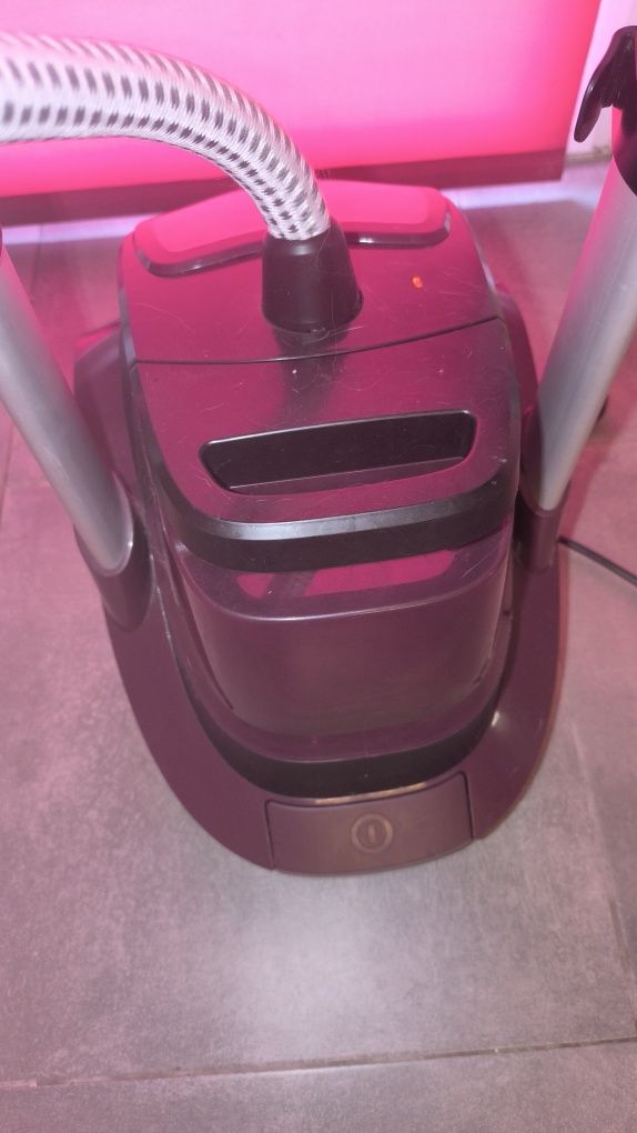 Ferro a Vapor Vertical ROWENTA Expert Precision IS9500D1 - 1800 W