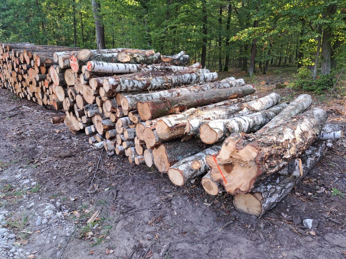 Drewno opałowe i kominkowe