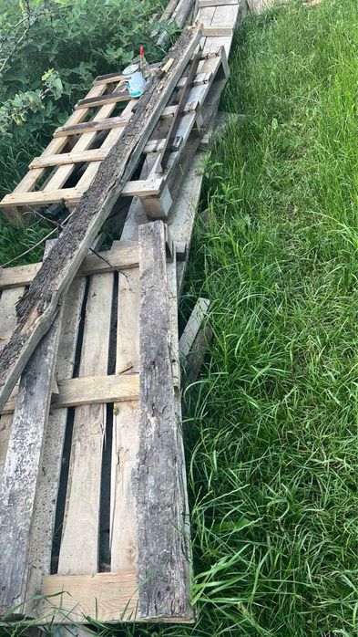 Швидкий Вивіз сміття гілок мотлоху з вантажниками Немішаєво Бородянка