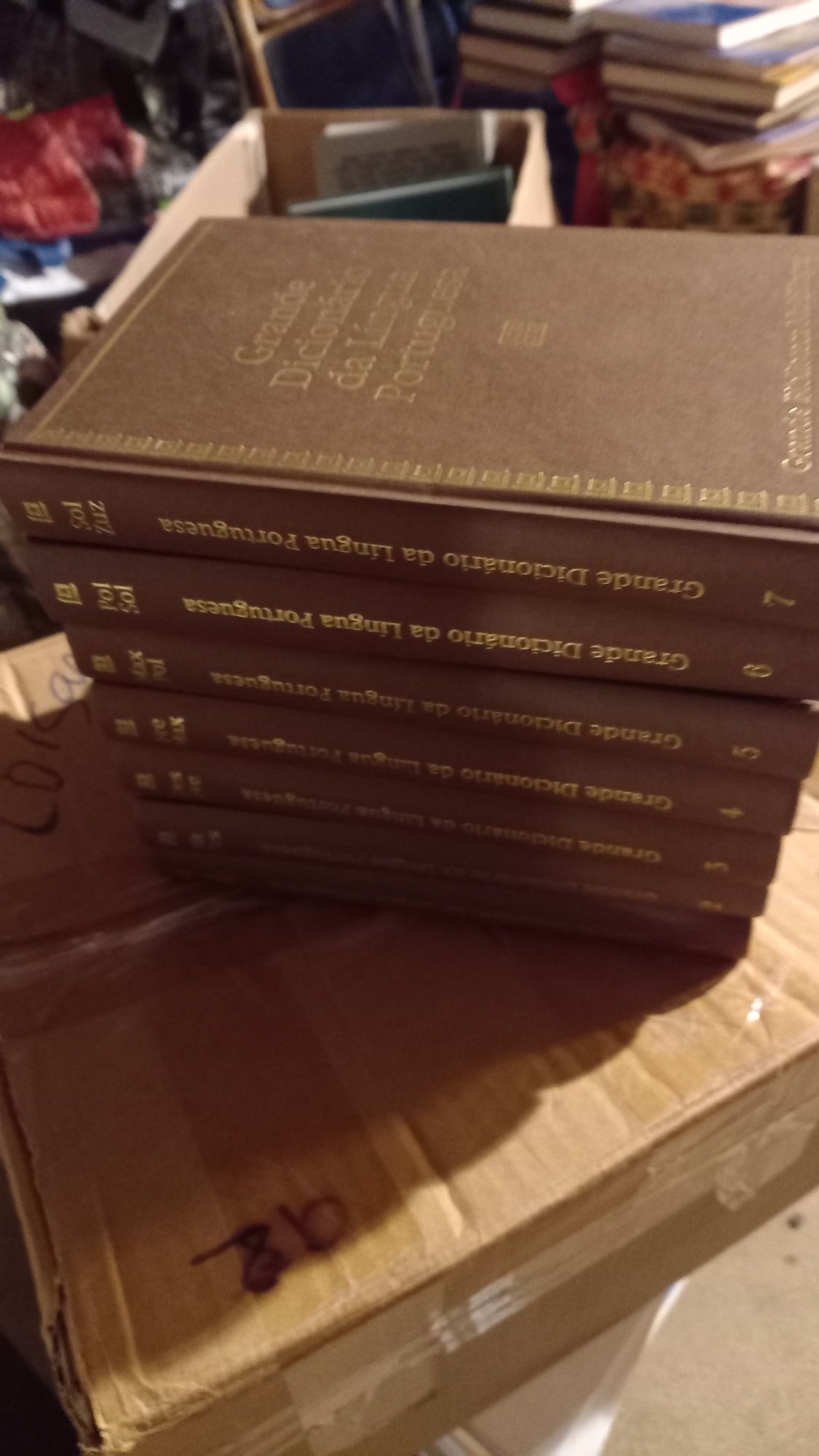 Vendo Grande Dicionário da Língua  Portuguesa  muito barato