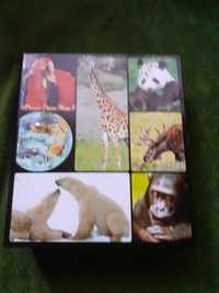 Encyklopedia zwierząt  A-Z zestaw 5 tomów