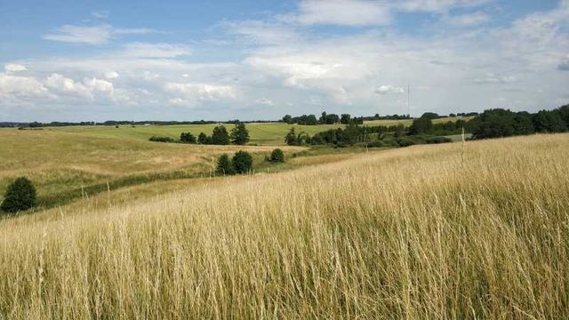 Rydzewo k. Giżycka Mazury działka rolno-budowlana 40432 m2