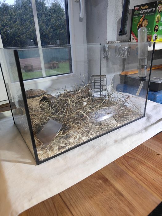 Zestaw dla chomika / myszki