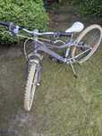 Rower Giant Areva 24 cale
