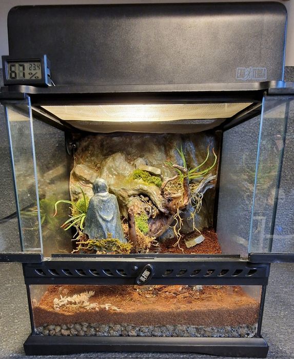 Exo terra 30x30x30 terrarium bioaktywne ptasznik modliszka gekon drzew