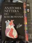 Anatomia Nettera