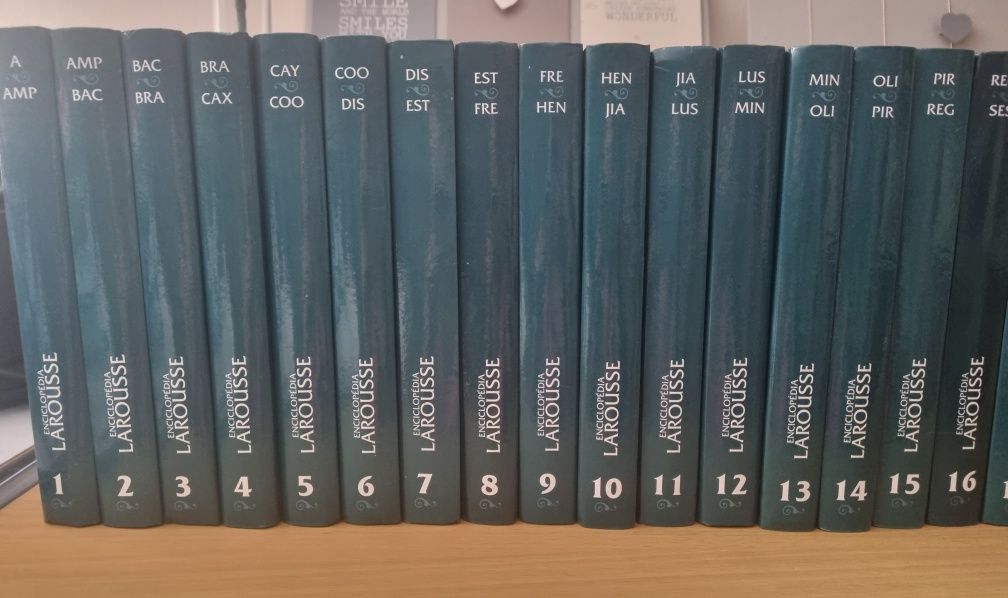 Enciclopédia Larousse 30 volumes