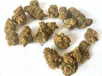 LEMON HAZE CBD 2KG Susz Konopny PREMIUM Naturalny Top Weed Hurt