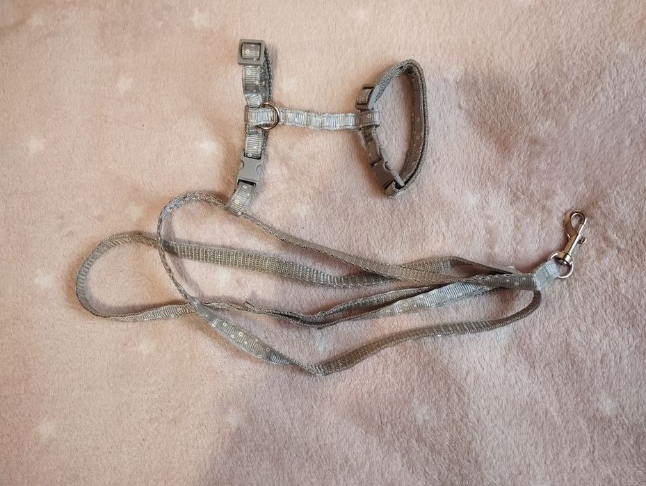 паводок та шлейка