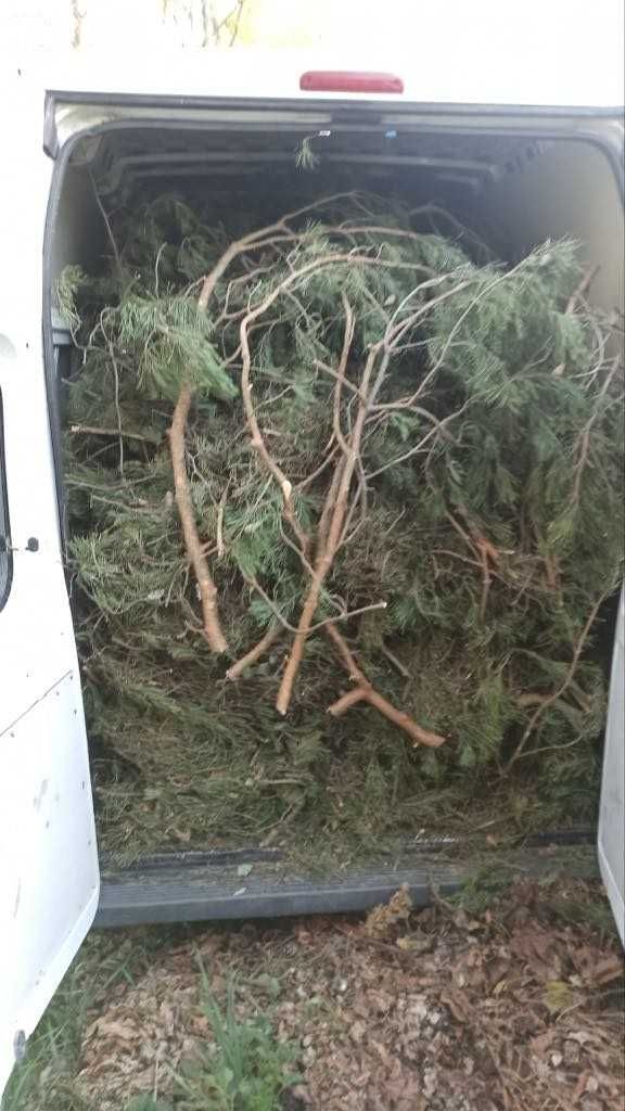 Wywóz odpadów zielonych Wywóz gałęzi Wywóz liści Łask Odbiór trawy