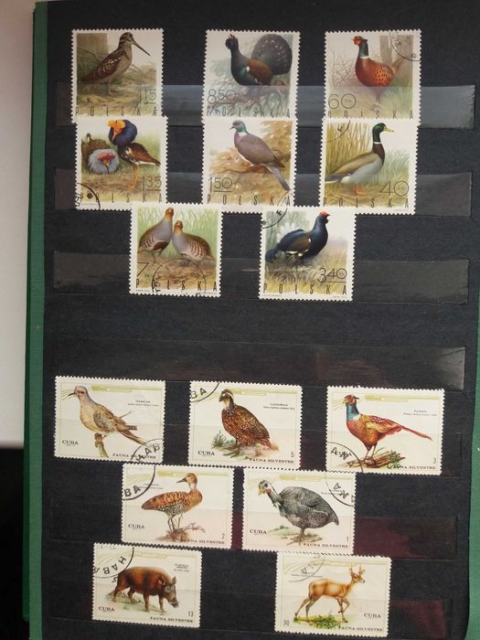 Альбом марок разной тематики.