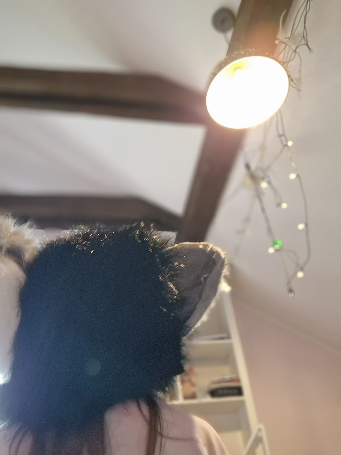 Fursuit dino mask