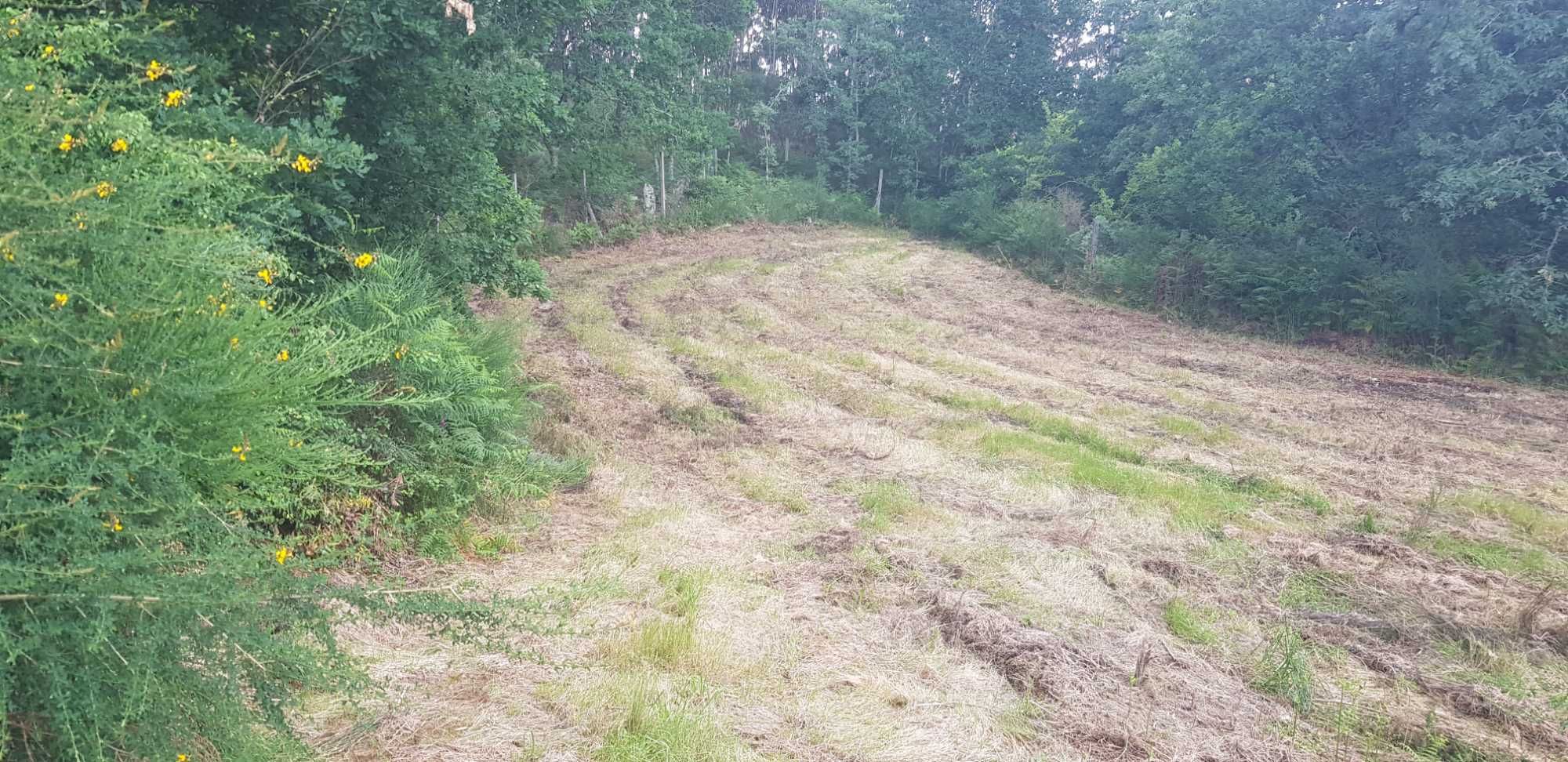 Terreno/6000m2/ Parte dele com licença de construção