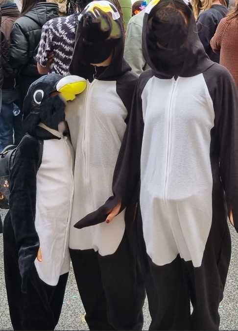 Fatos carnaval Pinguim