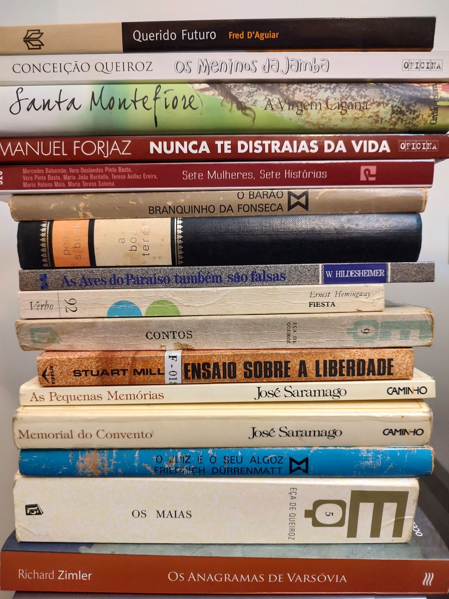 Lote de Livros - Danielle Steel, Lesley Pearse, Richard Zimler, etc