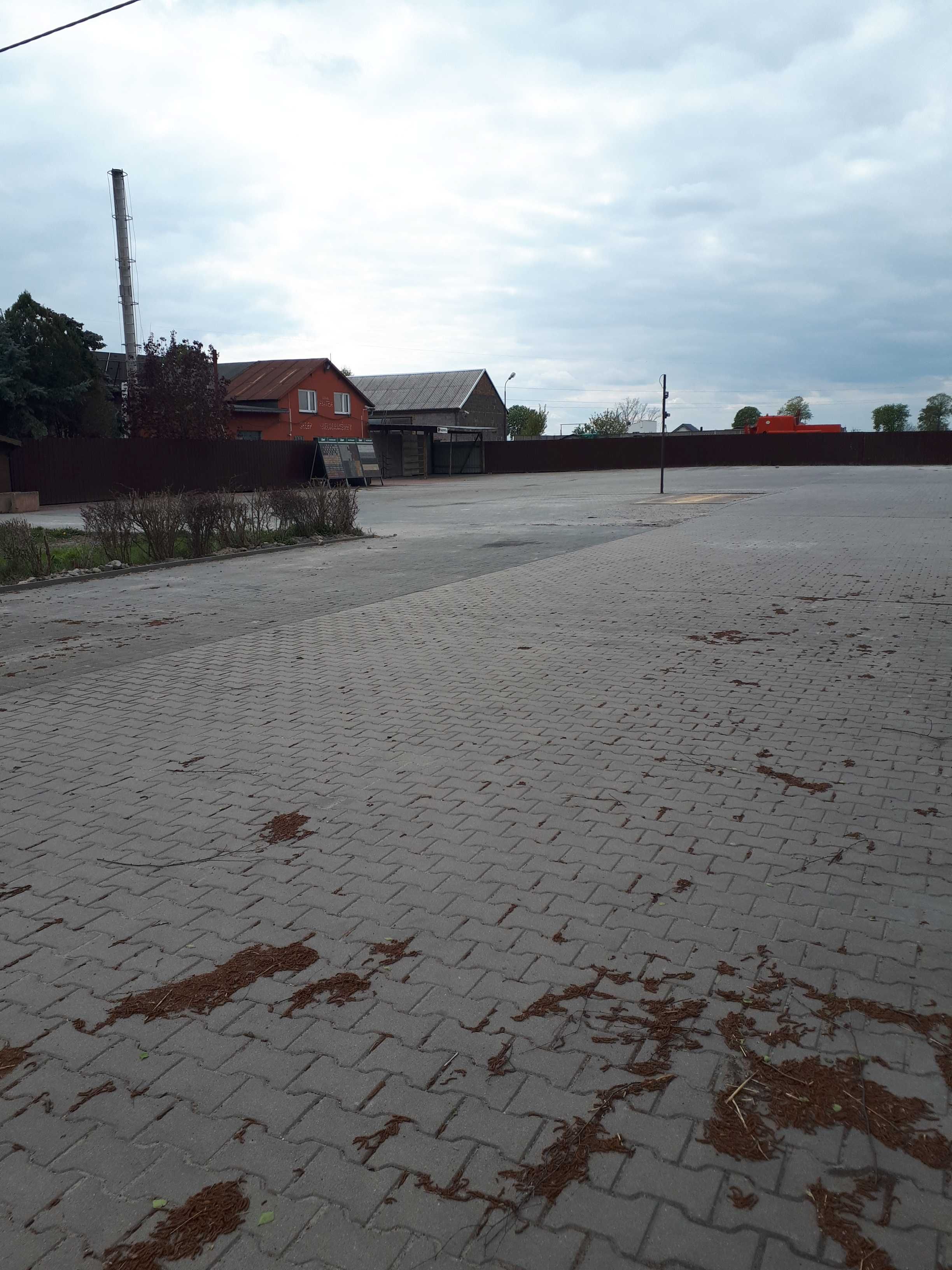 Wynajmę plac utwardzony parking biuro hurtownia działka