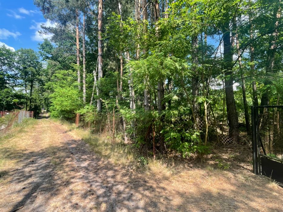 Działka leśna/budowlana Kębliny ul. Grzybowa