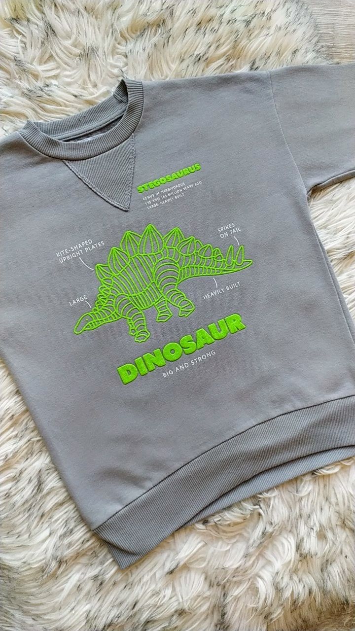 Bluza dla chłopca Sinsay