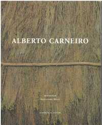 11062 Alberto Carneiro de Alberto Carneiro