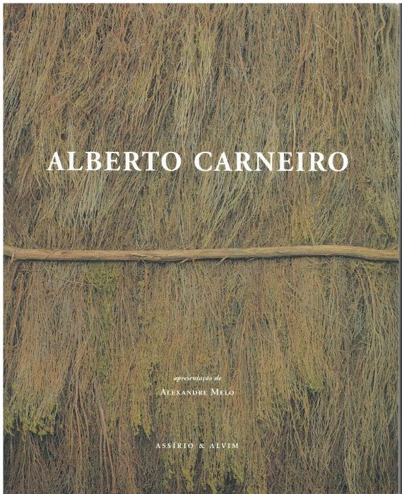 11062 Alberto Carneiro de Alberto Carneiro