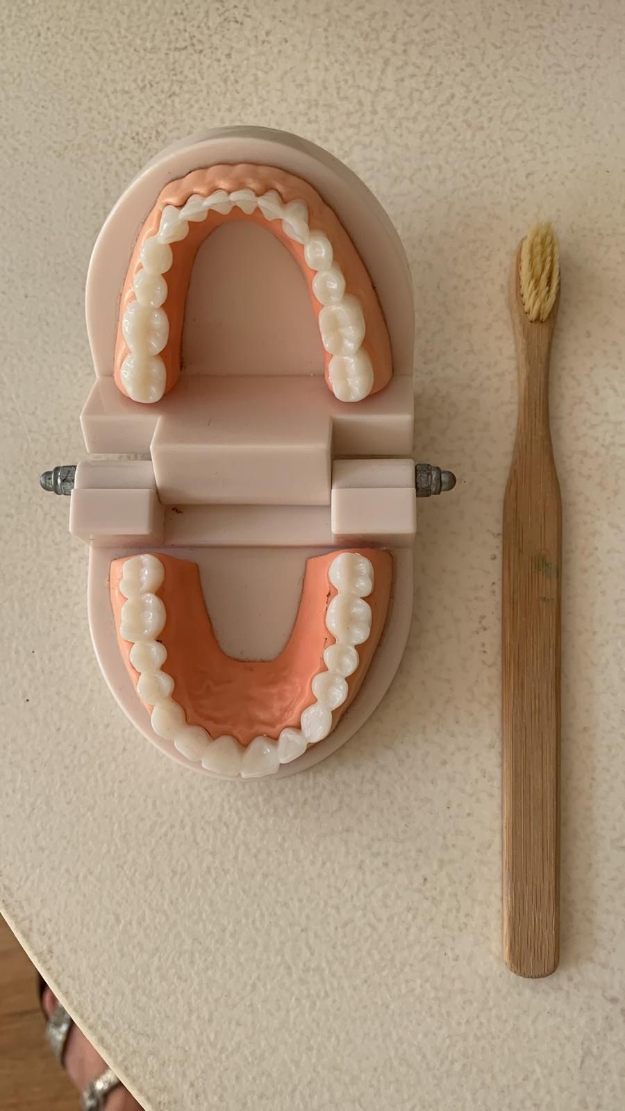 Zabawka Drewniana Montessori Wczesna Edukacja Mycie Zębów