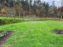 Terreno  para venda
