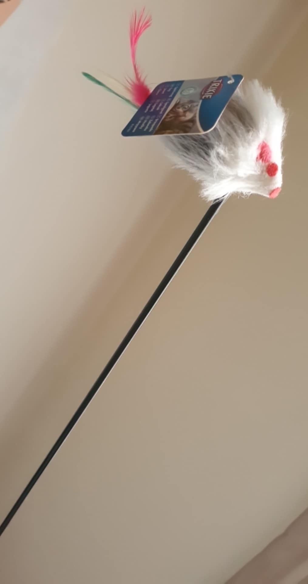 Brinquedos para gatos