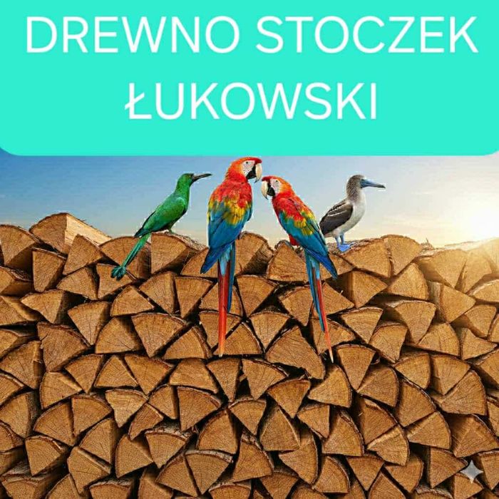Drewno drzewo kominkowe Stoczek Łukowski