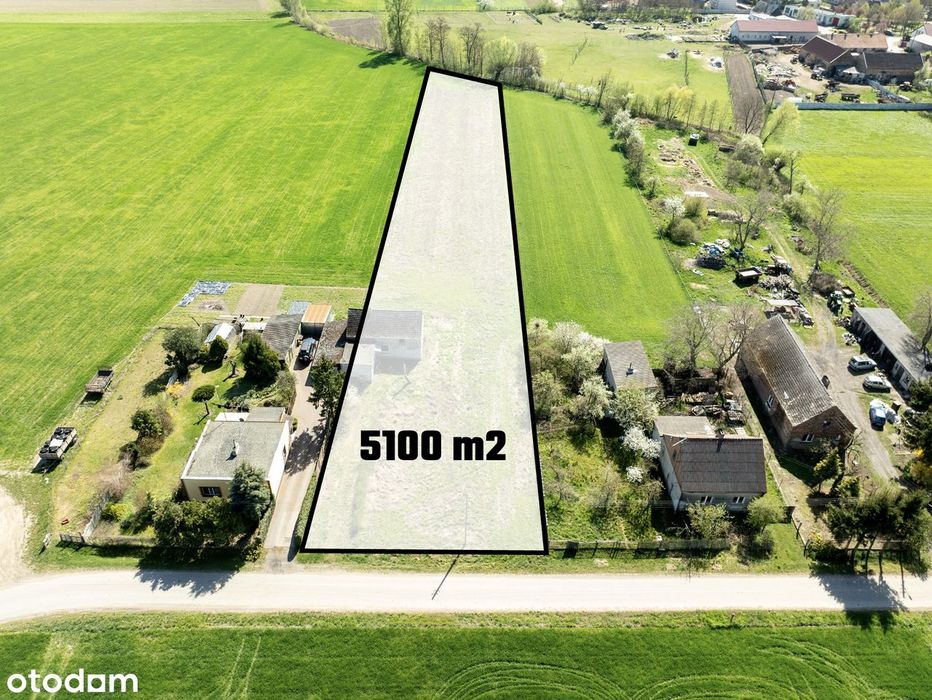 DUŻA działka siedliskowa | tereny zielone | Drużyń – Gmina Granowo